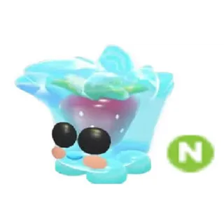 NEON BERRY COOL CUBE