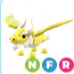 NFR ANCIENT DRAGON