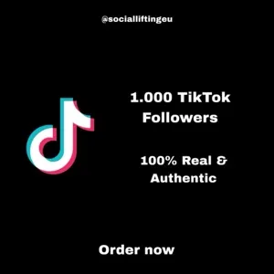 TikTok 1000 Followers (1k)