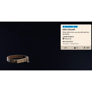 Dog Collar | Arc raiders