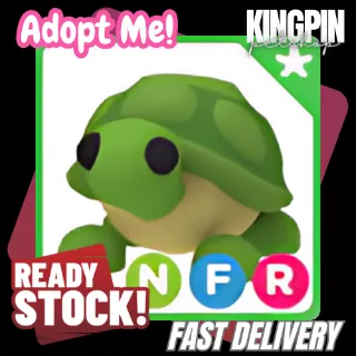 NFR TURTLE