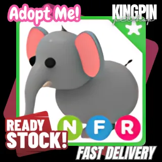 NFR ELEPHANT