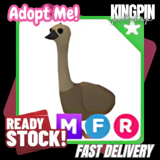 MFR EMU
