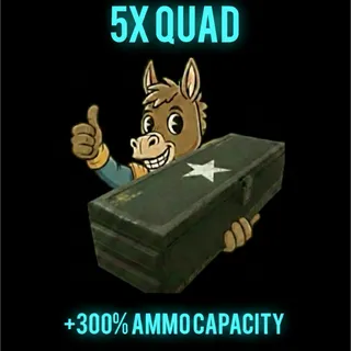 Quad X5 