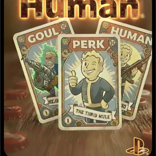 Human Big Gun/Enclave Build PERK CARDS