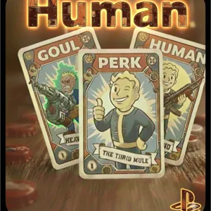 Human Big Gun/ Enclave Build PERK CARDS