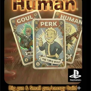 Big Gun & Small Gun Build HUMAN Perk Cards PS4 PS5