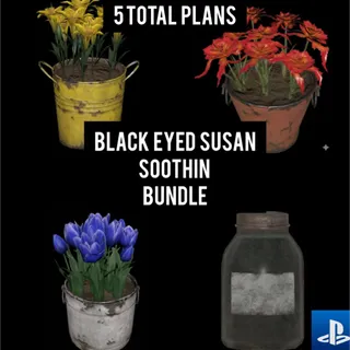 Black eyed Susans Soothin PS4 Fallout 76 
