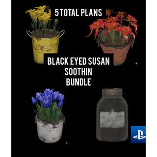 Susans Soothin