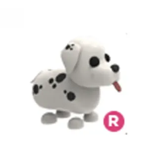 Dalmatian Ride