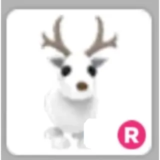 Arctic Reindeer Ride