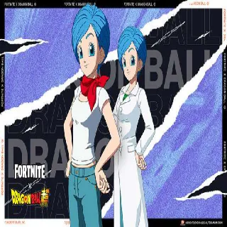 Bulma Skin