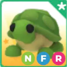 NFR Turtle
