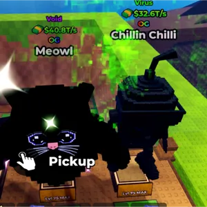 MEOWL AND CHILLI BUNDLE