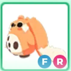 FR CABBIT