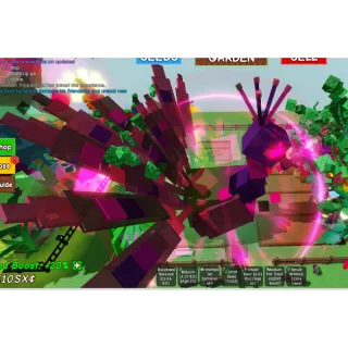 2x HUGE NIGHTMARE PEACOCK 60kg plus!