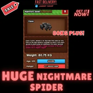 HUGE TITANIC NIGHTMARE SPIDER 80kg PLUS!