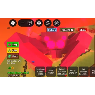 GODLY NIGHTMARE SPIDER 100KG PLUS !