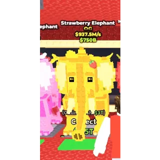 Strawberry Elephant 937.5M/S