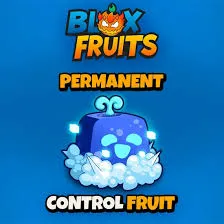 BLOXFRUIT  / BLOX FRUIT PERMANENT CONTROL FRUIT