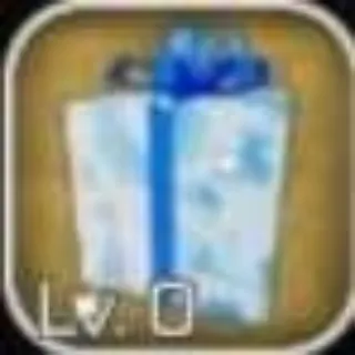 出品写真