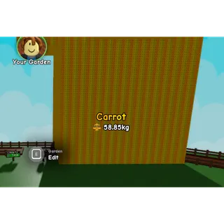 58.85kg CARROT ACCOUNT | GROW A GARDEN 2