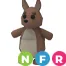 NFR KANGAROO - ADOPT ME