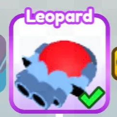 Leopard