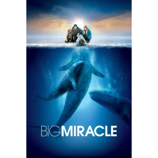 Big Miracle iTunes HD Ports