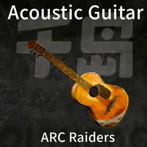acoustic guitar