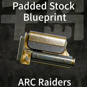 padded stock blueprint