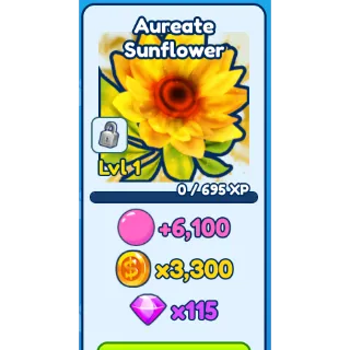 BGSI | 8X AUREATE SUNFLOWERS