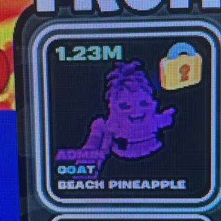 1.23M admi pineapple