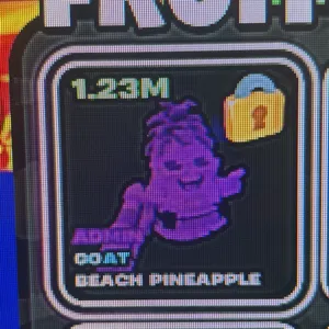 1.23 admi pineapple