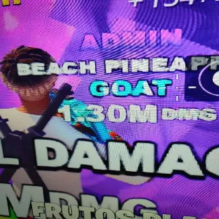 1.30 Pianeapple admi