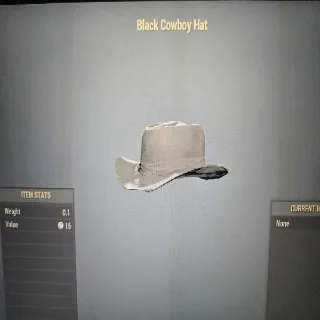 Black Cowboy Hat
