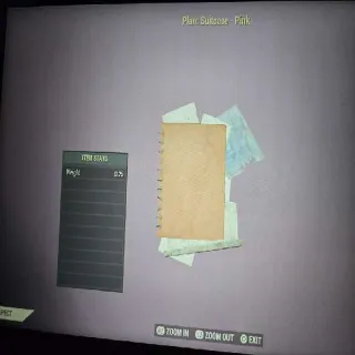 Suitcase - Pink Plan