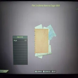 Taxidermy American Dagger Moth Plan