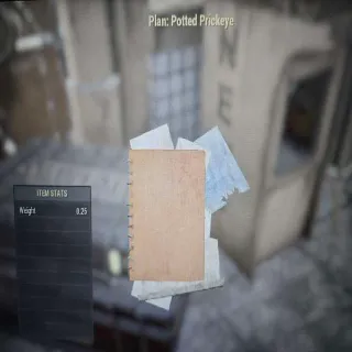 Potted Prickeye Plan