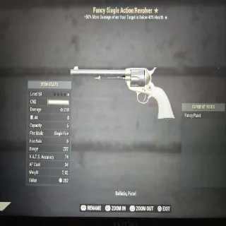 Fancy Single Action Revolver