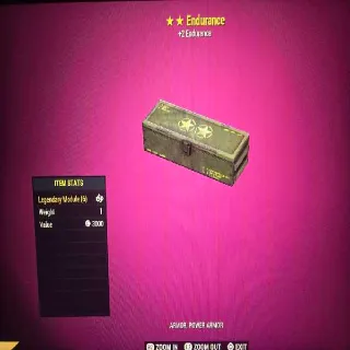 10 2* Endurance Mods