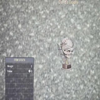 David Trophy Misc Item