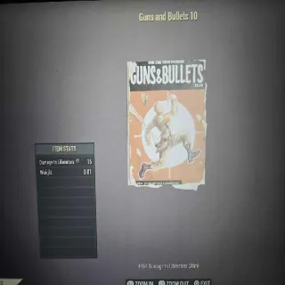 100 Gun And Bullets 10 Magazines