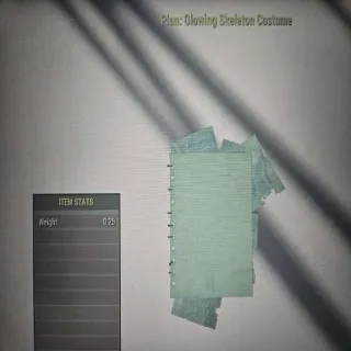 Glowing Skeleton Costume