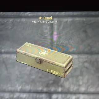 Quad Mod