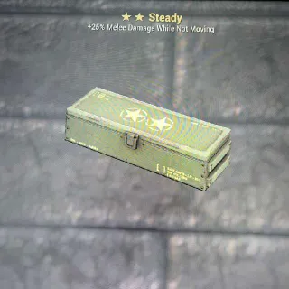 ★★Steady Mod 5x