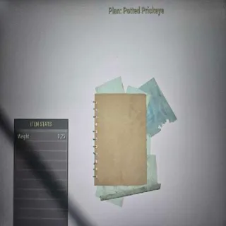 Plotted Prickeye Plan