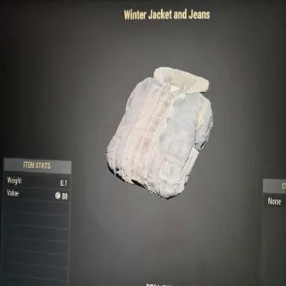 Winter Jacket And Jeans