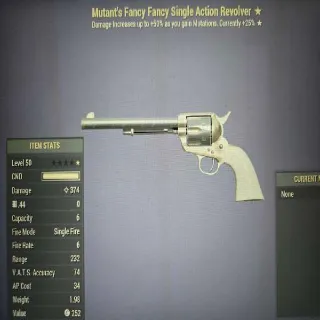 Fancy Fancy SAR Weapon