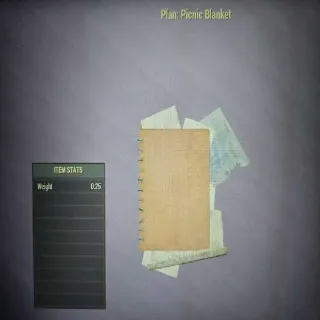 Picnic Blanket Plan